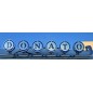 CUSTOMIZABLE HEADLIGHT COVERS 1PC SCANIA L